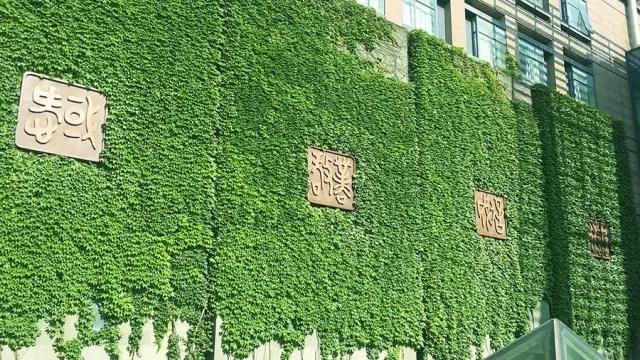 20170525857345.jpg 微信图片_20170525094336.jpg