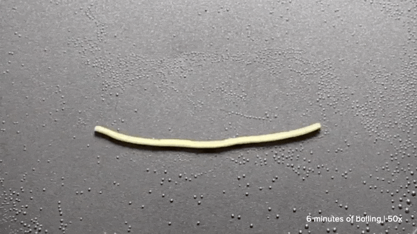 微信图片_20210512154615.gif