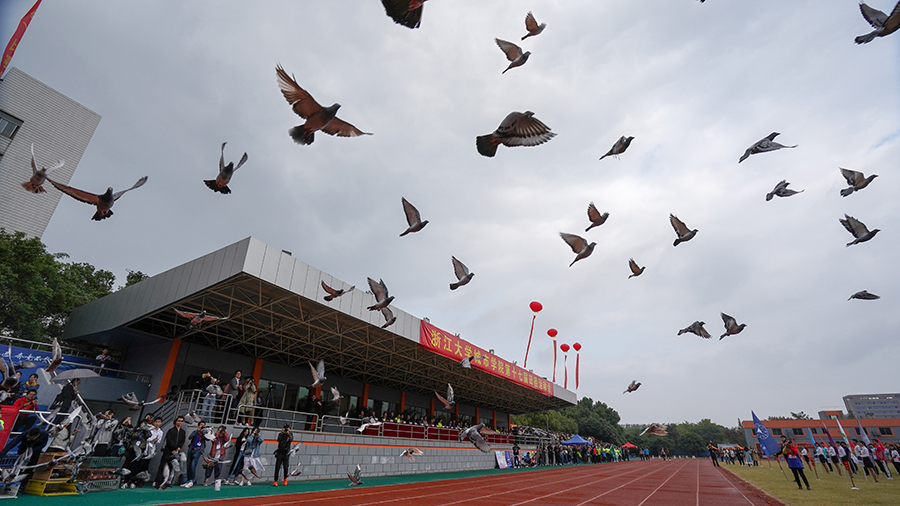 DSC03201.jpg