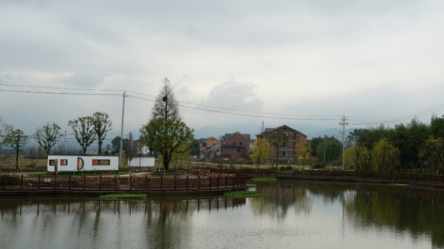 136.jpg